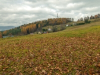 Muszyna, Malnik